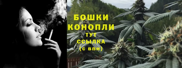 гидра Аркадак