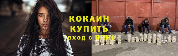 гидра Аркадак