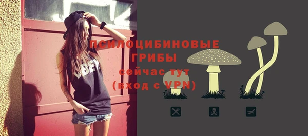 гидра Аркадак