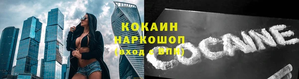 гидра Аркадак