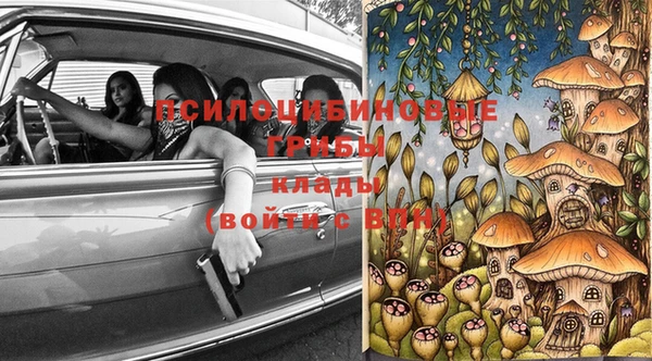 ешки Арсеньев
