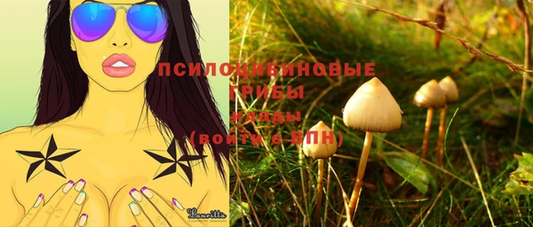 МДПВ Армянск