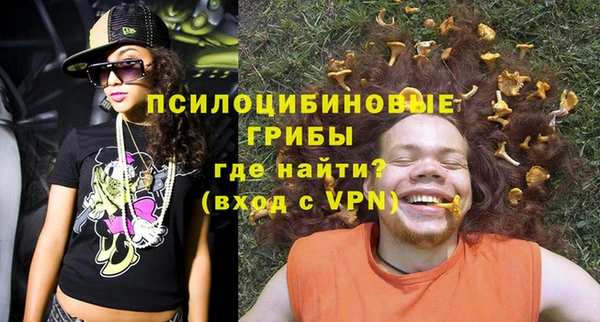 гидра Аркадак