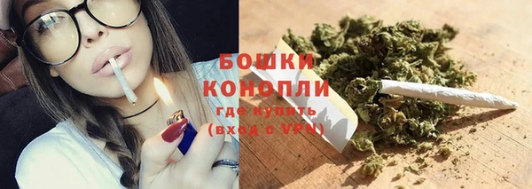 гидра Аркадак